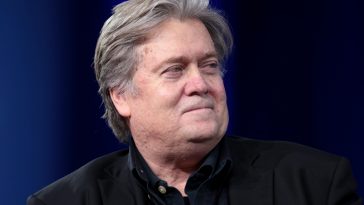 Steve bannon